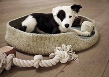 HUNDEKÖRBCHEN Feltro von Lana Grossa